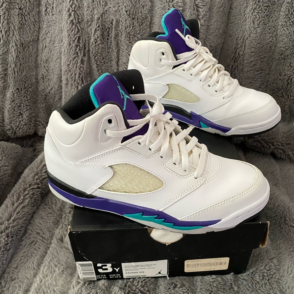 Air Jordan 5 Retro Grapes